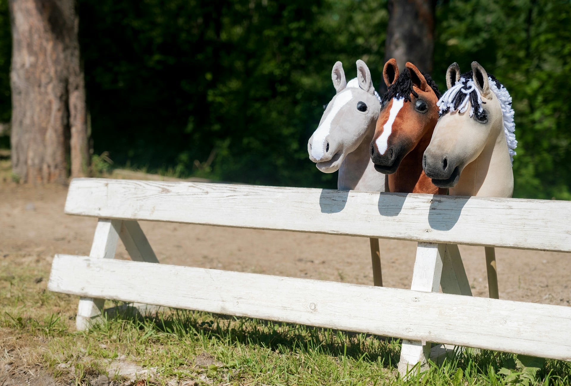 Hobby Horse Hoorah