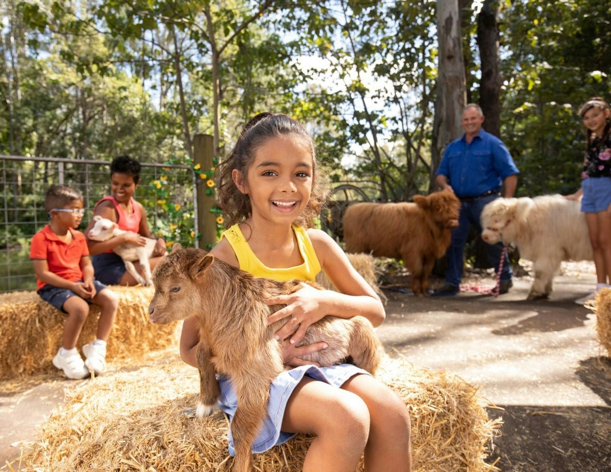 Belinda's Barnyard Buddies